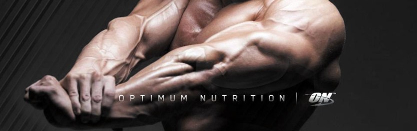 Optimum Nutrition Casein 32 g